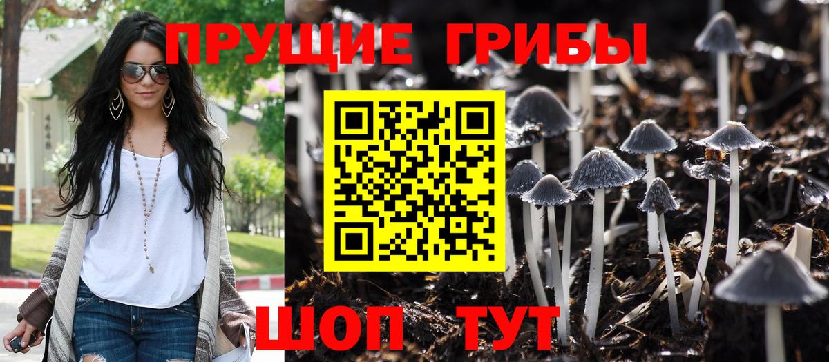 Галлюциногенные грибы Psilocybe  Вход с VPN  Менделеевск  Псилоцибиновые грибы Cubensis 
